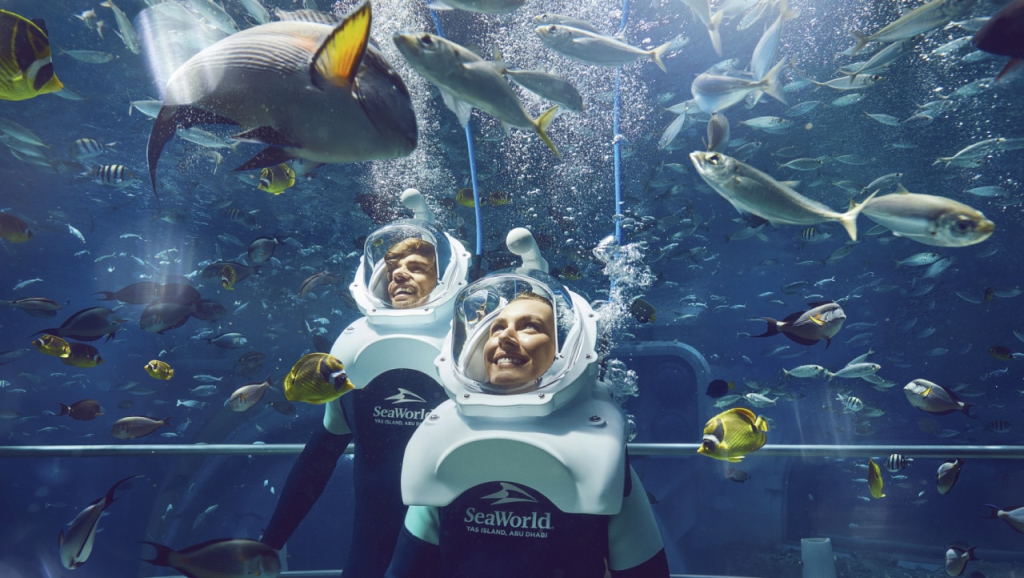 Single Day Ticket – Full Access to SeaWorld Abu Dhabi